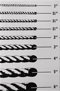 Image description is not available for 2010.098